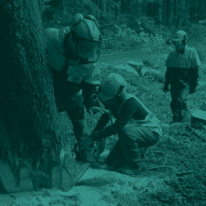 Filière Forestière